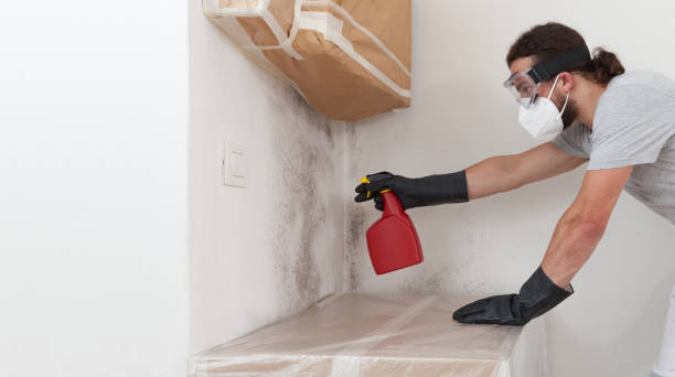 Professional Mold Removal technician working in Landing, NJ